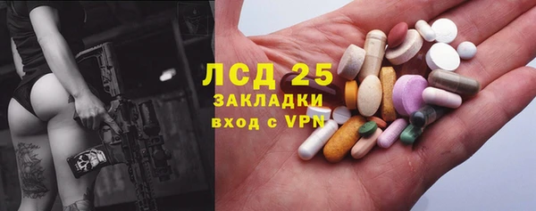 apvp Аркадак