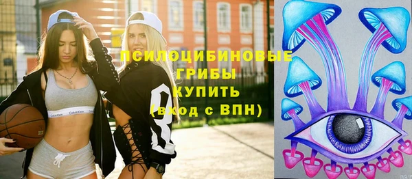 стафф Арсеньев