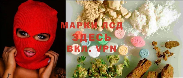 apvp Аркадак