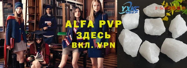 стафф Арсеньев