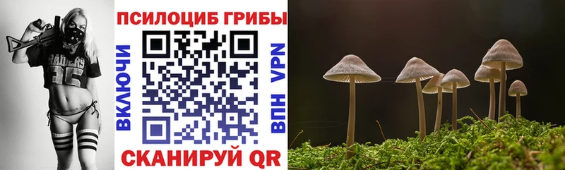 Купить закладки  Оса  Псилоцибиновые грибы MAGIC MUSHROOMS 